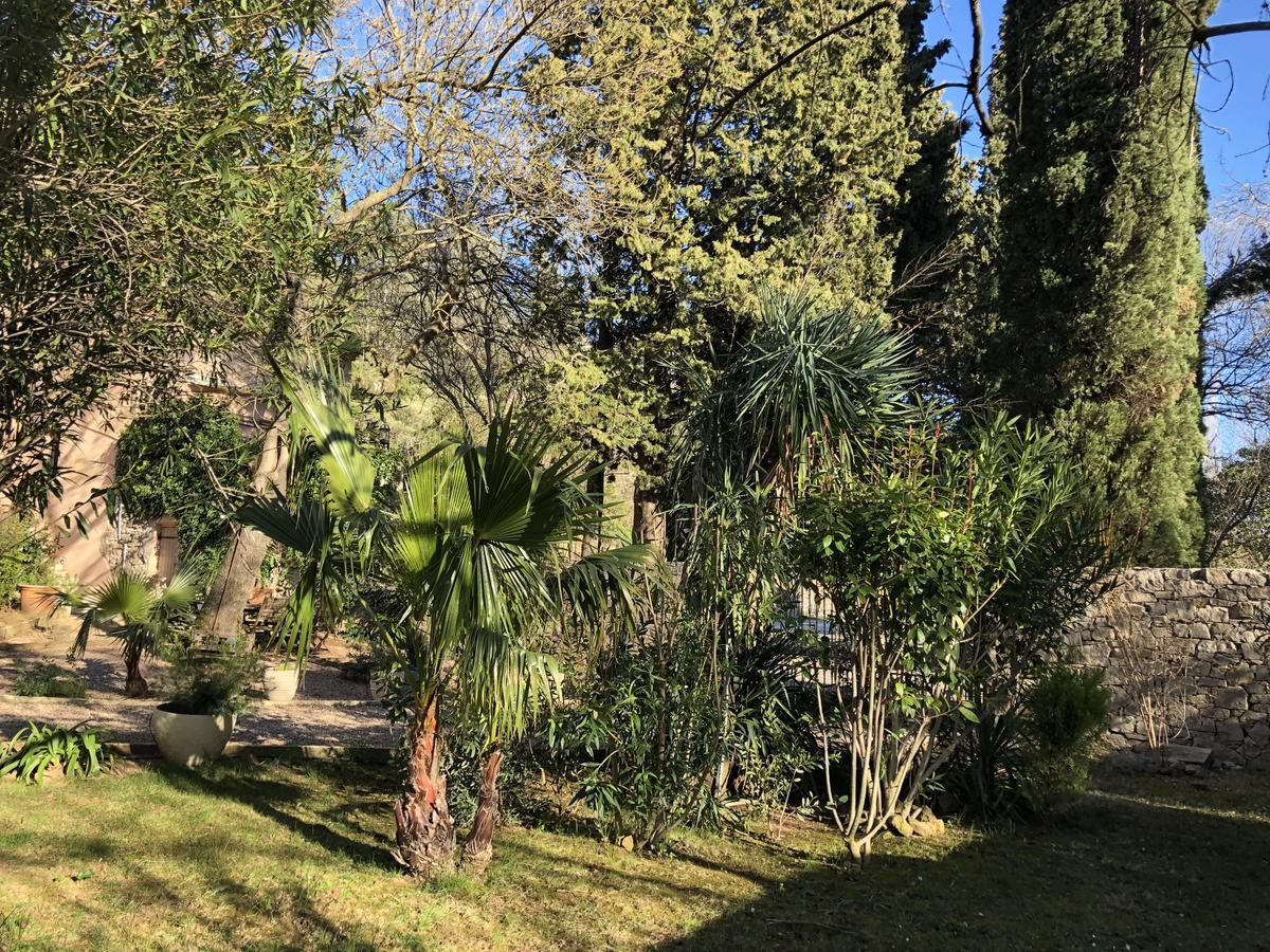 Auberge De Pachoquin Meounes-les-Montrieux Екстериор снимка
